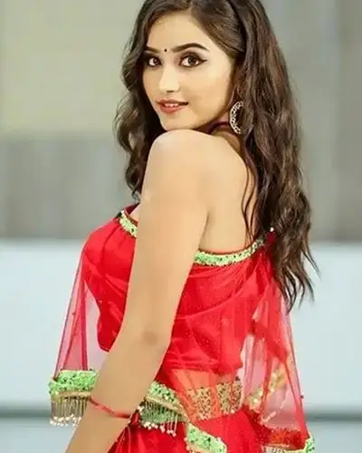 Call Girls Service Kadur